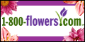 Buy Flowers Online