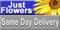 Order Flower Delivery